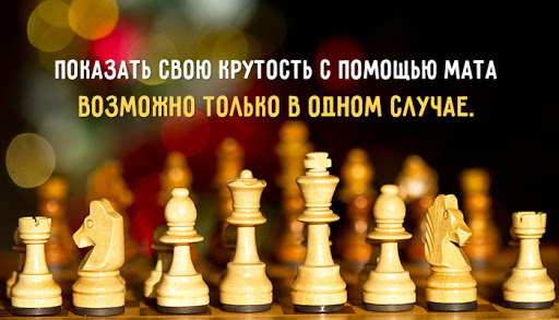 Открытки Открытки на международный день шахмат. Открытки на день шахматов Открытки гифки на день шахмат. Открытки гифки на день шахматов. Открытки на международный день шахматов. Красивые открытки на день шахмат. Красивые открытки на день шахматов