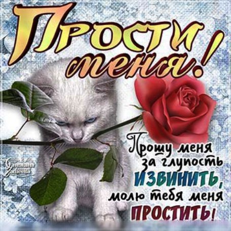 картинки на тему прости меня любимая