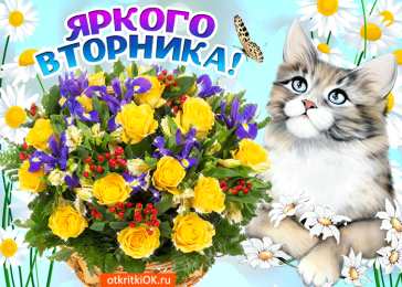 Вторник Открытки доброго вторник с вторником скачать бесплатно на смартфон