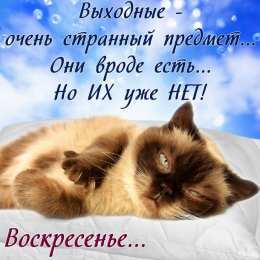 Воскресенье Открытки воскресенье счастливого воскресенья скачать бесплатно