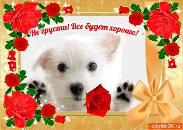 Не грусти Открытки не грусти улыбнись скачать бесплатно на телефон смартфон