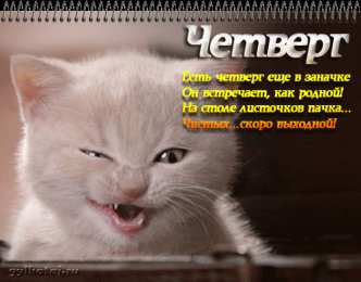 Четверг Открытки четверг скачать бесплатно на телефон смартфон компьютер