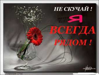 Не скучай Открытки не скучай скачать бесплатно на телефон смартфон компьютер