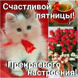 С пятницей С пятницей открытки скачать бесплатно на смартфон поздравления