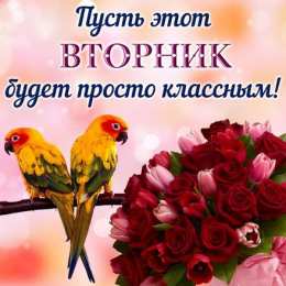 Вторник Открытки доброго вторник с вторником скачать бесплатно на смартфон