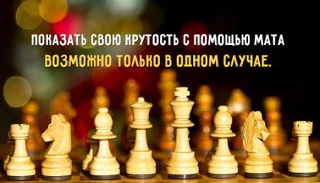 День шахматов Открытки на международный день шахмат. Открытки на день шахматов