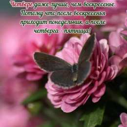 Четверг Открытки четверг скачать бесплатно на телефон смартфон компьютер