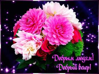 Добрый вечер Открытки добрый вечер скачать бесплатно на смартфон телефон.