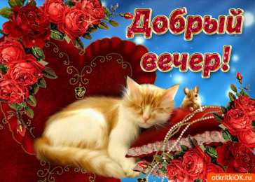 Добрый вечер Открытки добрый вечер скачать бесплатно на смартфон телефон.