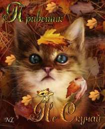 Не скучай Открытки не скучай скачать бесплатно на телефон смартфон компьютер