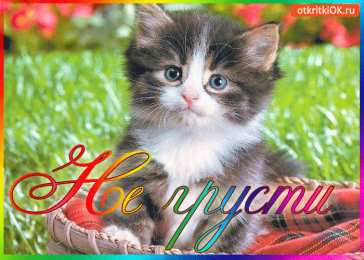 Не грусти Открытки не грусти улыбнись скачать бесплатно на телефон смартфон