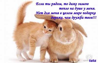 День друзей Международный день друзей. Открытки на международный день друзей