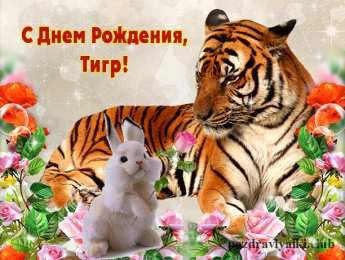 Картинки с международным днем тигра (40 фото)
