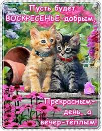 Воскресенье Открытки воскресенье счастливого воскресенья скачать бесплатно
