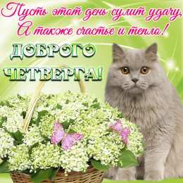 Четверг Открытки четверг скачать бесплатно на телефон смартфон компьютер