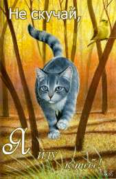 Не скучай Открытки не скучай скачать бесплатно на телефон смартфон компьютер